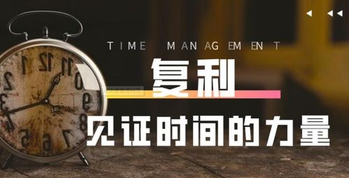 usdt收益钱包,高效收益的秘密武器