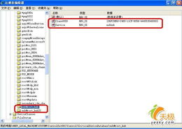 windows系统u盘,轻松掌握U盘操作与维护技巧