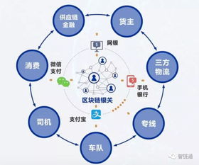 井通区块链,构建未来金融生态的基石