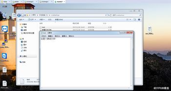 windows网络文件系统,架构、功能与优化解析
